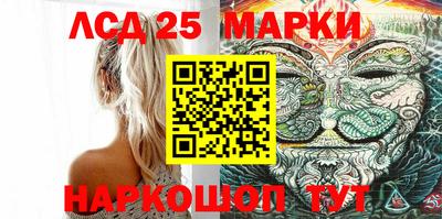 стафф Кандалакша