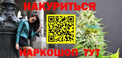 мдпв Камышлов