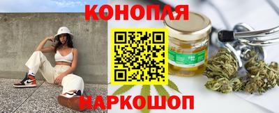 мдпв Камышлов