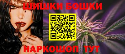 мдпв Камышлов