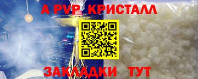 мдпв Камышлов