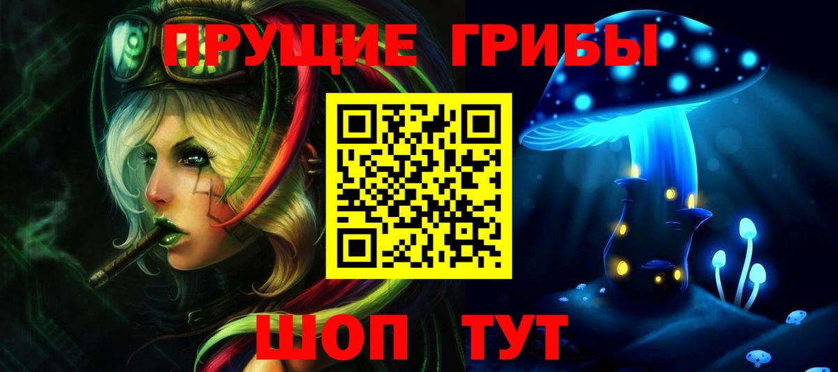 Галлюциногенные грибы Psilocybe Тулун